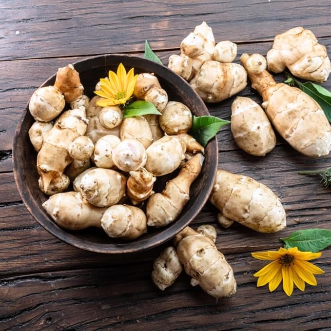 5 Jerusalem Artichoke Tubers, Sunchoke for Planting, Hardy Perennial Vegetable for Home Garden