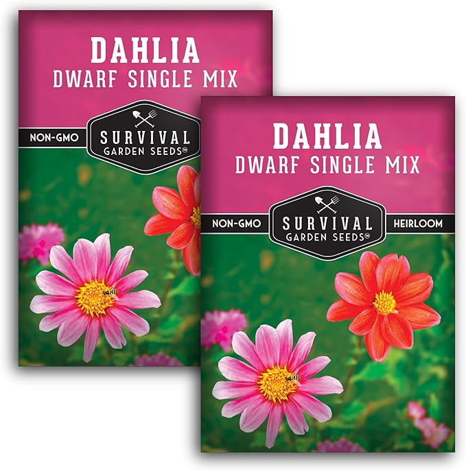 Dwarf Single Mix Dahlia Seeds for Planting - Compact Colorful Blooms for Beds, Borders & Containers - Easy-Grow Flower Variety - Heirloom Non-GMO - Survival Garden Seeds (2 Packs)