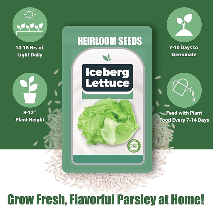 Iceberg Lettuce Seed Pods Kit for Hydroponic, 12 Pods Grow Anything Hydroponics Kit for Indoor Garden, Hydroponics Supplies with 12 Grow Sponges, 12 Plant Baskets, Iceberg Seeds - 12 POD