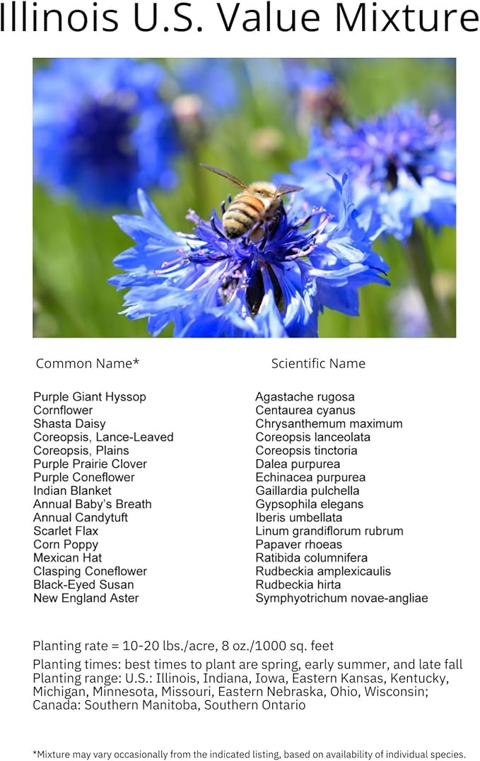 Illinois Bulk Perennial Wildflower Seed Mix 1lb Covers 2,000sq-ft - Attract Pollinators, Multi-Color Blooms - Midwest US Species Plant in Spring/Fall - Earth-Friendly Packaging (1/2 Pound)