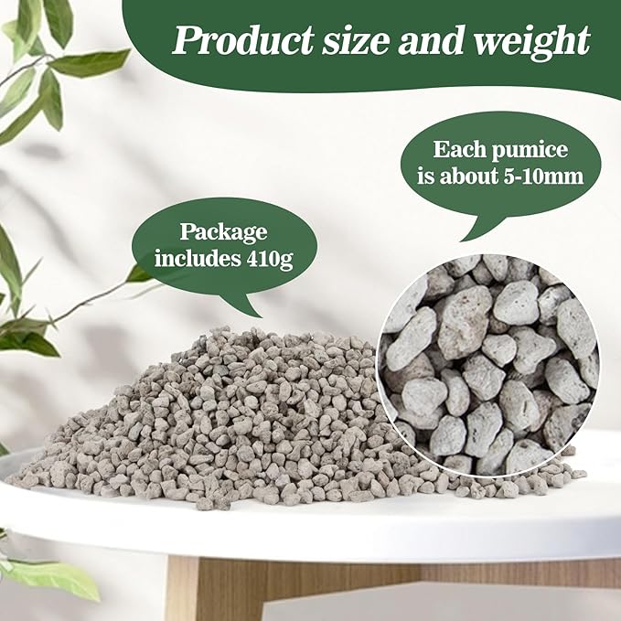 Sukh Horticultural Pumice Stone - Pumice Stone for Plants Succulent Cactus Bonsai Orchid Soil Amendment 410g