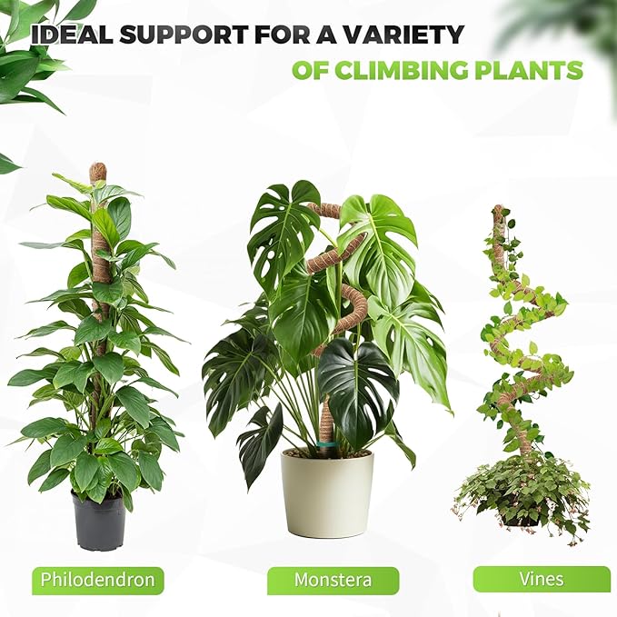 Monstera Plant Support 2 Pack 63 Inch Moss Pole Bendable Monstera Support for Climbing Plants Extra Large Handmade Moss Poles Aluminum Plant Support Stakes Indoor Grow Upwards