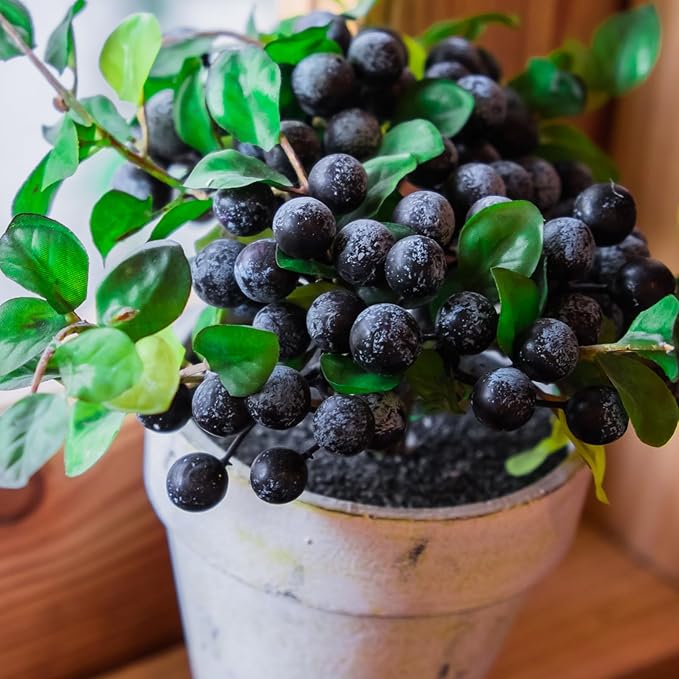 Organic Blueberry Soil Mix, Indoor Plants Potting Mix for All Potted Blueberry, Grow Healthy houseplants Indoors
