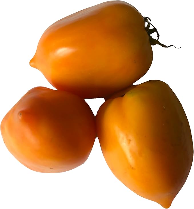 Goldfish Tomato Seeds (Solanum lycopersicum) 150 Seeds (0.5 Grams)