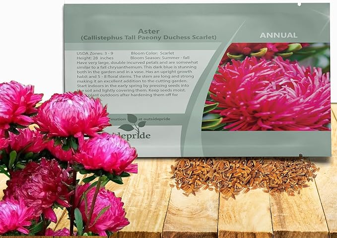 Outsidepride Paeony Aster Seeds - 1,000 Pcs Annual, Hardy & Pollinator Friendly Flower Seeds for Planting Vibrant Double Incurved Scarlet Petals, Ideal for Meadows & Aesthetic Gardens