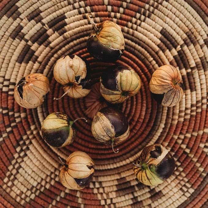 Purple Coban Tomatillo - 25 Seeds - Heirloom Purple Tomato Variety, Great for Roasting & Salsa, Non-GMO Heirloom Tomatillo Seeds for Planting in The Home Garden, Thresh Seed Company