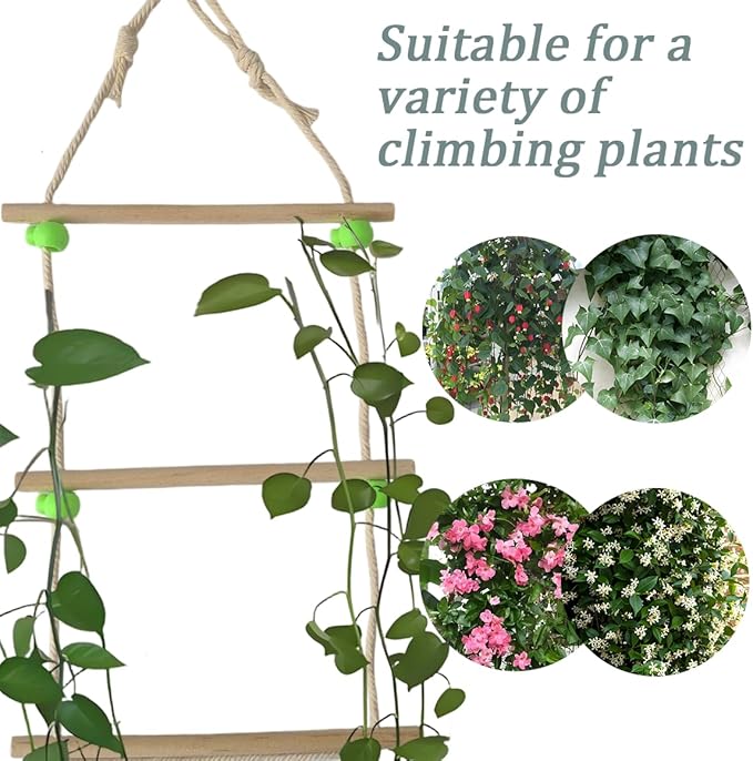 Wooden Ladder for Plants,DIY Indoor Outdoor Plant Ladders, Easy to Install,Garden Trellis for Climbing Plants Indoor,Modern Design for Home & Garden Use