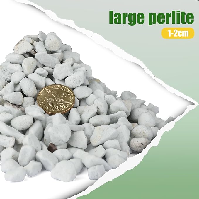 Organic Chunky Perlite for Plants (0.4"-0.8" in Diameter), Natural Horticultural Soil Additive Conditioner Mix, Improve Drainage and Ventilation, Enhance Soil Health and Root Growth (1 Quart)