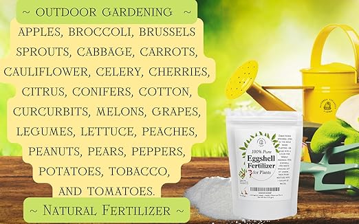 Natures Vitality Farms Eggshell Fertilizer Powder, 1 Pound, for Tomato Plants, Orchids, Calcium Magnesium Phosphorus Powder for Indoor and Outdoor Flowers and Plants