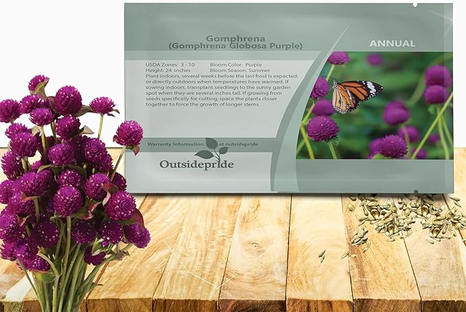 Outsidepride Purple Gomphrena Seeds - 1000 Pcs Annual, Heat & Drought Tolerant, Pollinator Friendly Globe Amaranth Seeds for Planting w/Vibrant Round Blooms for Beds, Borders, and Arrangements