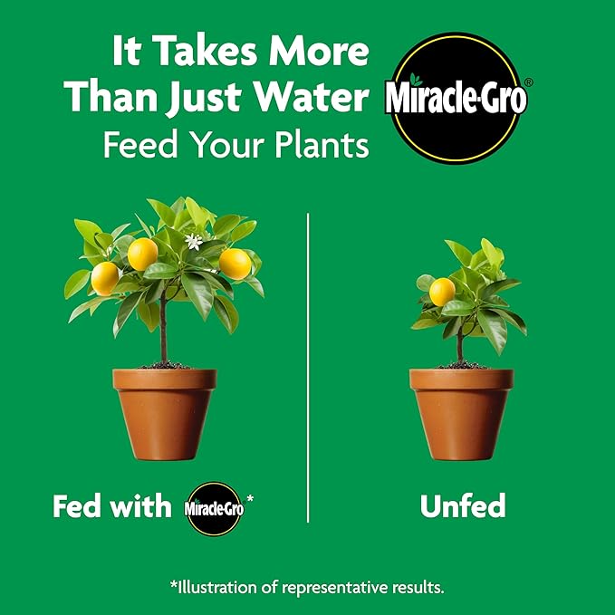 Miracle-Gro Shake 'N Feed Continuous Release Citrus, Avocado & Mango Plant Food, 4.5 lb.