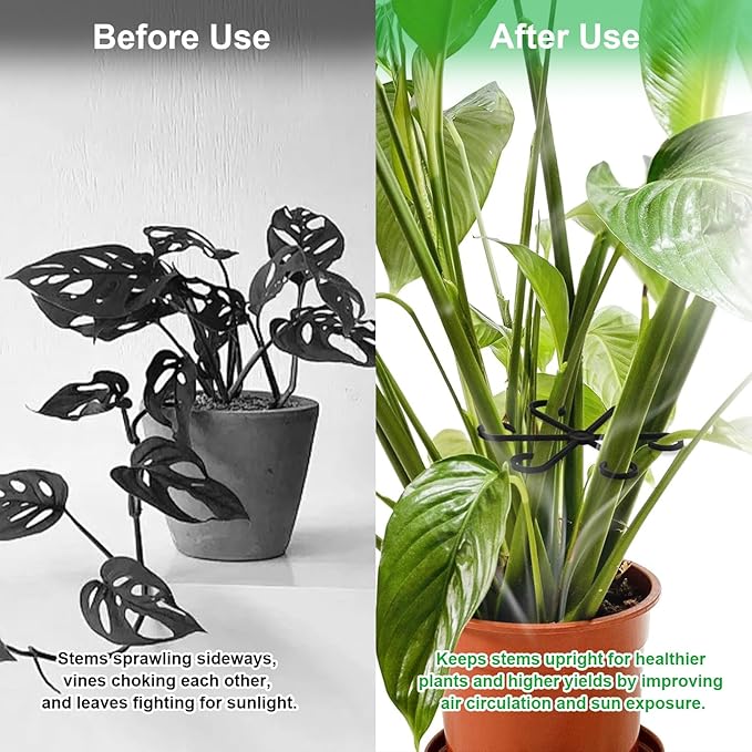 12pcs Climbing Houseplant Stem Supports,Plant stem Support Indoor Outdoor Use,Stem Hook Growth Accessories for Plant Garden, Promotes Upright Growth and Airflow(Black)