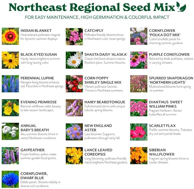Grow Your Own Vibrant Annual and Perennial Wildflower Garden Seeds Mixture, Varieties for Pollinators and Spring Gardens - Northeast Regional Mix, 1 lb