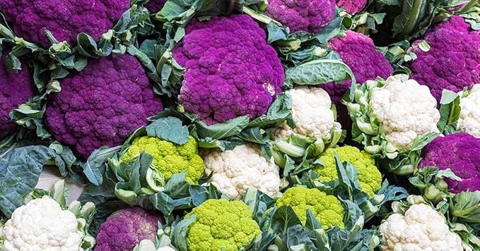 CEMEHA SEEDS - Seeds Cauliflower Cabbage Mix Non GMO Vegetable for Planting