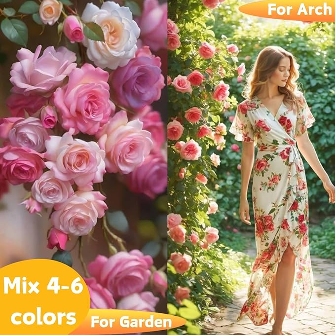 1000+ Climbing Rose Seeds Mixed 9 Color - Non-GMO Perennial Vine Flower for Garden Decor, Arch Fence Trellis, Easy to Plant Outdoor Blooming Seeds for DIY Gardeners, Home Landscaping