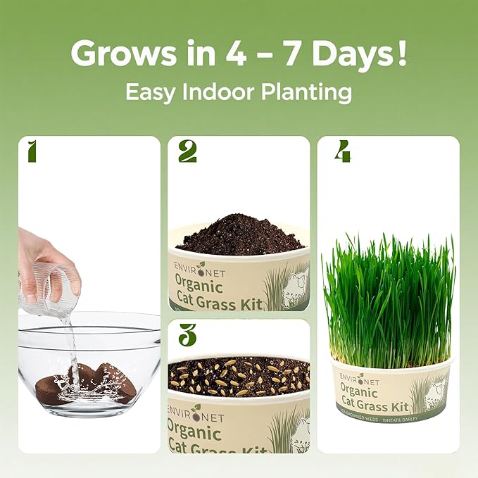 Environet Cat Grass Kit for Indoor Cat, Organic Grass Growing Kit with Seeds, Soil and Planting Tools, Quick Germination, Perfect for Beginners
