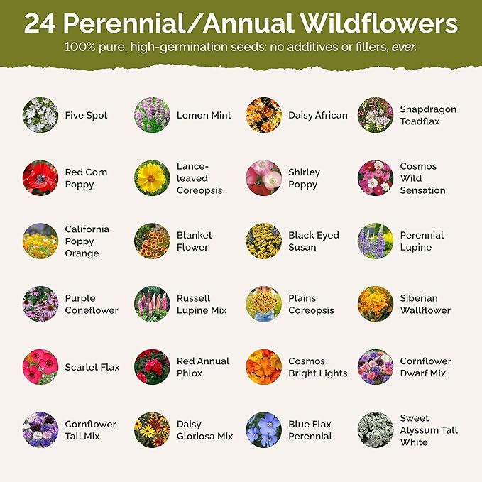 Eden Brothers Florida Wildflower Mixed Seeds for Planting, 1/4 lb, 120,000+ Seeds with Cornflower, Cosmos, African Daisy | Attracts Pollinators, Plant in Spring or Fall, Zones 3, 4, 5, 6, 7, 8, 9, 10
