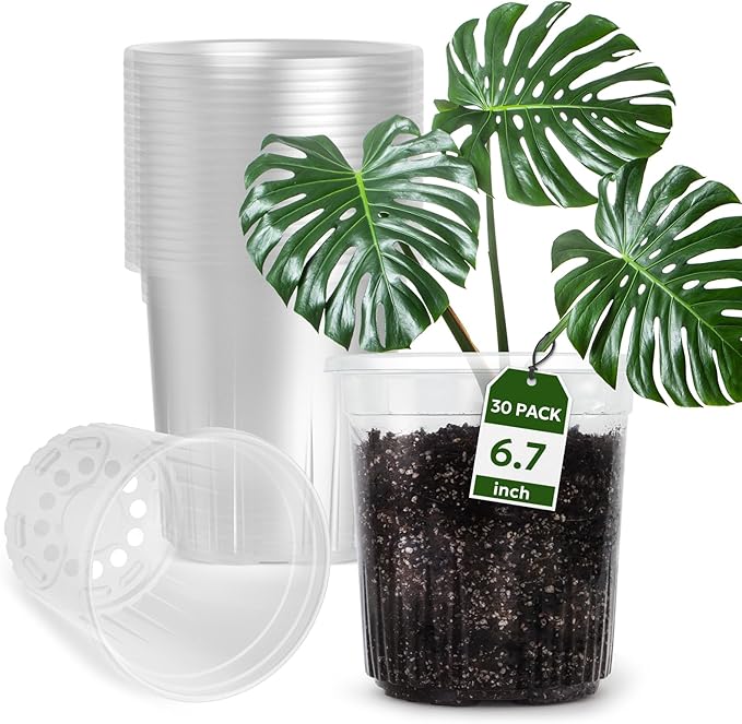 1 Gallon Reinforced Clear Nursery Pots with Drainage Hole, 30 Packs, 6.7 Inch Transparent Pots for Seedlings, Indoor/Outdoor Plants, Veggies, Flowers, and Professional Nursery Use