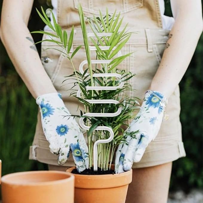 2 Pack Curvy Acrylic Trellis for Indoor Plants, Small Plant Trellis for Potted Plants, 13 Inch Plant Stakes for Indoor Plants, Clear Trellis for Climbing Plants Vine Ivy Hoya