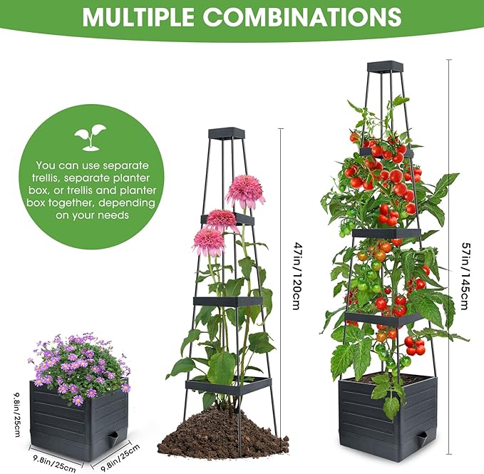 MYMULIKE Self-Watering Garden Bed, Raised Garden Bed Planter Box Outdoor, 58” Tomato Cage Planter for Vegetables, Flowers, Herbs, and Fruit, Outdoor Indoor,5 Gallon Capacity