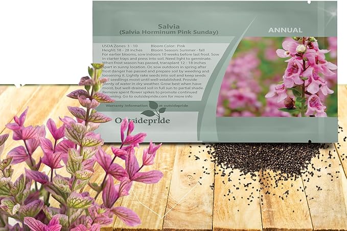Outsidepride Pink Sunday Salvia Seeds - 2,000 Pcs Annual, Compact, Heavy Blooming & Drought-Tolerant Sage Seeds for Planting Fragrant Pink Blooms for Butterfly & Hummingbird Gardens & Landscaping