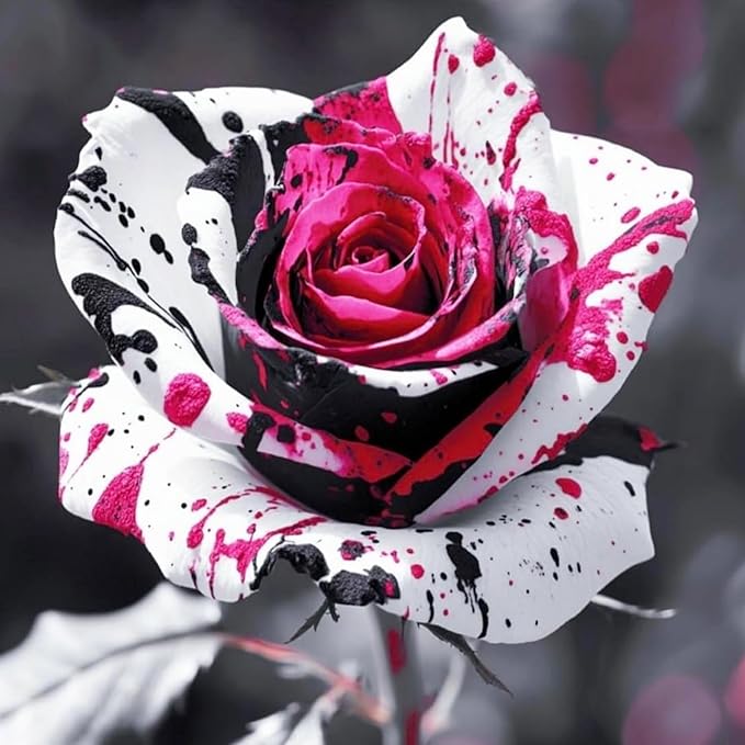 400+ Rose Seeds for Planting Flower Perennial Rare Rose Seeds Non-GMO Heirloom Flower Garden Home Great Gardening Gifts