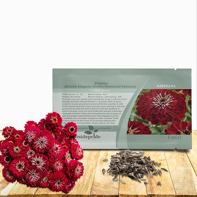 Outsidepride Dahlia Red Meteor Zinnia Seeds - 1000 Pieces Annual, Heat & Drought Tolerant Flower Seeds for Planting w/Vibrant Blooms for Pollinator Gardens & Floral Arrangements