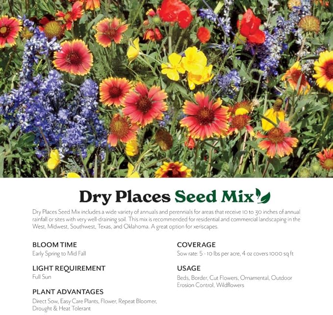 Grow Your Own Vibrant Annual and Perennial Wildflower Garden Mixture, Varieties for Pollinators and Spring Gardens - Dry Places Mix, 1/4 lb