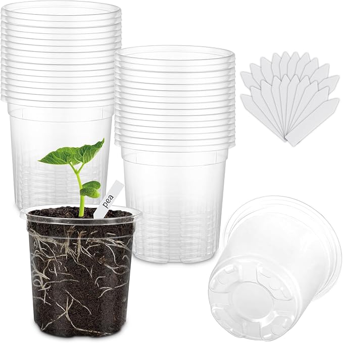 30 Packs 4 Inch Reinforced Clear Nursery Pots for Plants with Drainage Holes, High Transparency Plastic Seedling Plant Pot with Drainage Holes Have 20 Labels