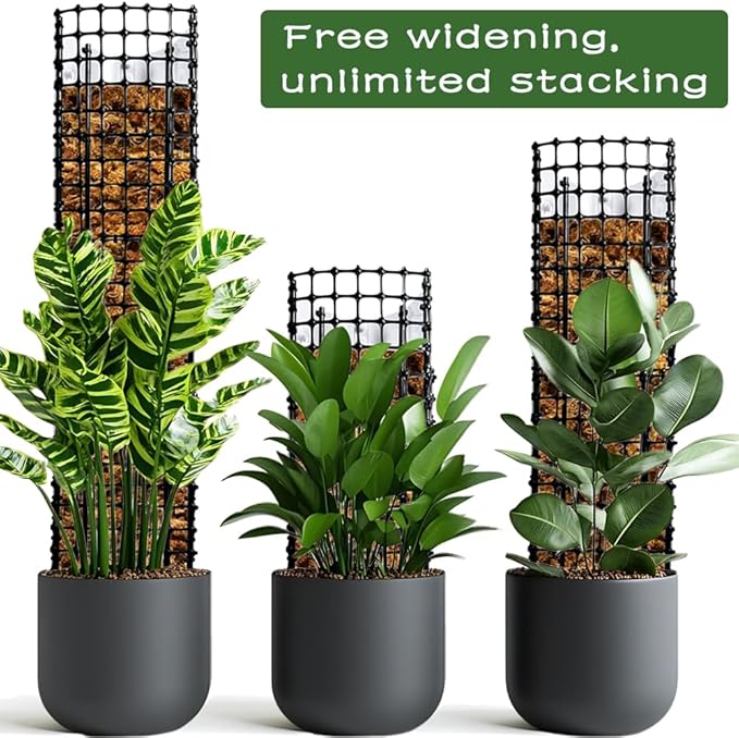 Expandable D Shaped Moss Pole, Customizable Width Moss Pole Monstera Plant Support, Stack up to 47 inches in Height, Widen to Any Size, DIY Thickened Transparent Plant Support for Climbing Plants