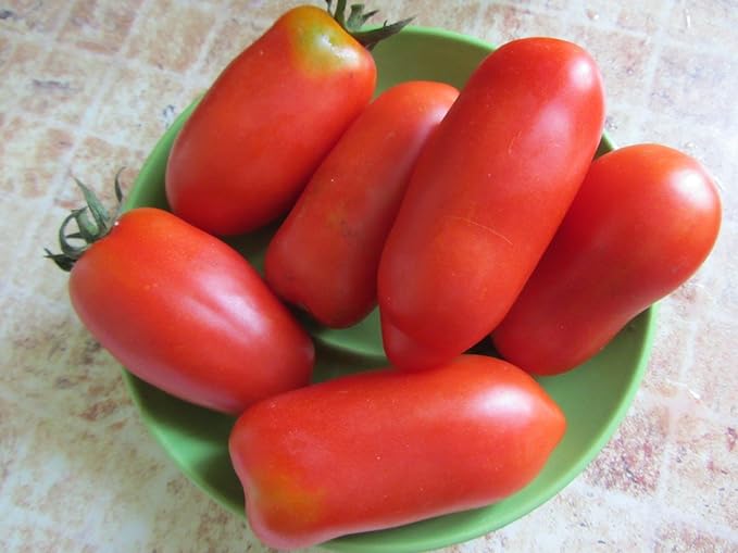 NIKA SEEDS - Seeds Vegetable Tomato Pepper-Shaped - 25 Seeds