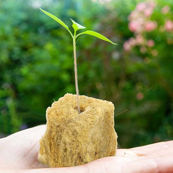 100pcs Plant Propagation Soil Blocks Oasis Cubes for Seedling Start Soilless Culture