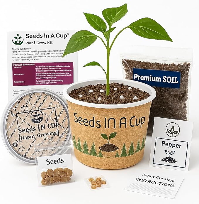 Seeds In A Cup - Plant Growing Kit-: Vegetable and Herb Growing Kit (Celery)