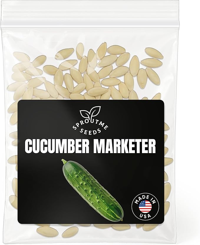 Fall & Winter Cucumber Marketer Seeds for Indoor & Outdoor Planting – 200+ Non-GMO Heirloom USA Crisp Fresh Salad, High Germination (Cucumis sativus)