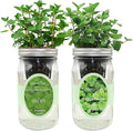 2-Pack Hydroponic Mason Jar Herb Garden Kit, Indoor Herb Garden Self-Watering Starter Kit, New Christmas Gift for Mom (Mint,Peppermint)