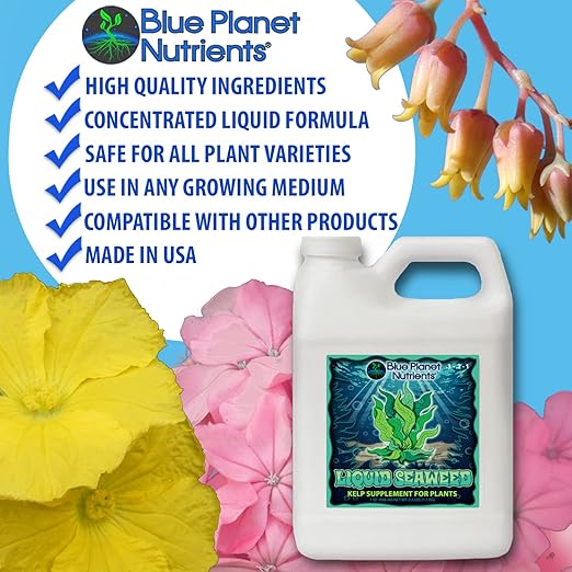 Liquid Kelp Seaweed Fertilizer Concentrate - Blue Planet Nutrients Ascophyllum Nodosum Liquid Seaweed Supplement - Makes 470 Gallons - Quart (32 oz)