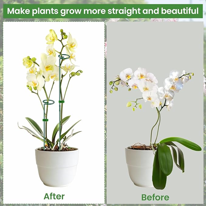 Plant Support Stakes 6 Pack, 12/24/36 Inch Heavy Duty Metal Plant Stakes, Adjustable Garden Plant Support Cages/Rings for Outdoor Indoor Plants, Plant Stick Support for Amaryllis Tomato Peony Orchid