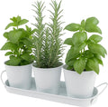 Herb Garden Planter Set – 3-Pcs Set Galvanized Metal Herb Planters for Indoors Plants with Tray – Indoor Plant Pots for Apartment Window, Balcony, Garden – Potting Pots for Herbs and Flowers