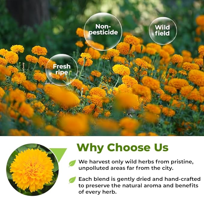 1.8 oz. Dried Marigold Flowers Bur Marigold Herb Tea Marygold Tea (Bidens Tripartite L.) - 50g 100% Chereda Bur-Marigold Cáñamo Acuático