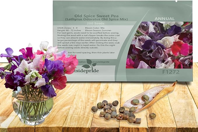 Outsidepride Old Spice Mix Sweet Pea Seeds - 200 Pcs Annual, Easy to Grow, Vine Seeds for Planting Fragrant, Long-Lasting Flowers with Free-Flowering Habit & Tall Size for Vertical Gardens