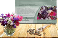 Outsidepride Old Spice Mix Sweet Pea Seeds - 200 Pcs Annual, Easy to Grow, Vine Seeds for Planting Fragrant, Long-Lasting Flowers with Free-Flowering Habit & Tall Size for Vertical Gardens