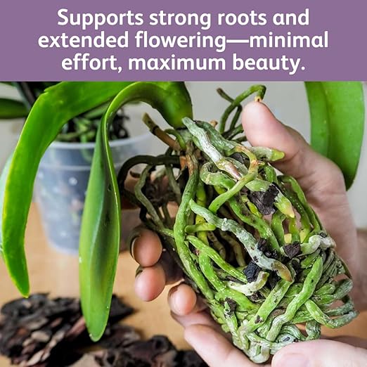 Chrysal Orchid Food Drops — Orchid Care — One Pack for a Year Supply — Concentrated Flower Food for All Species of Orchids — Ideal Florist Supplies — Outdoor and Indoor Plant Food