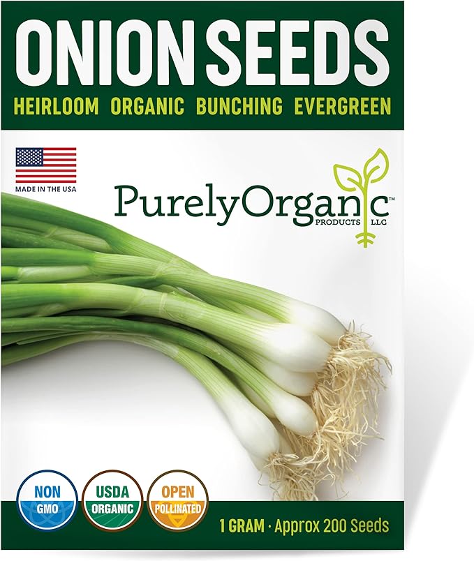 Organic Onion Seeds (Bunching Evergreen) - Approx 200 Seeds - USDA Organic, Non-GMO, Open Pollinated, Heirloom, USA Origin