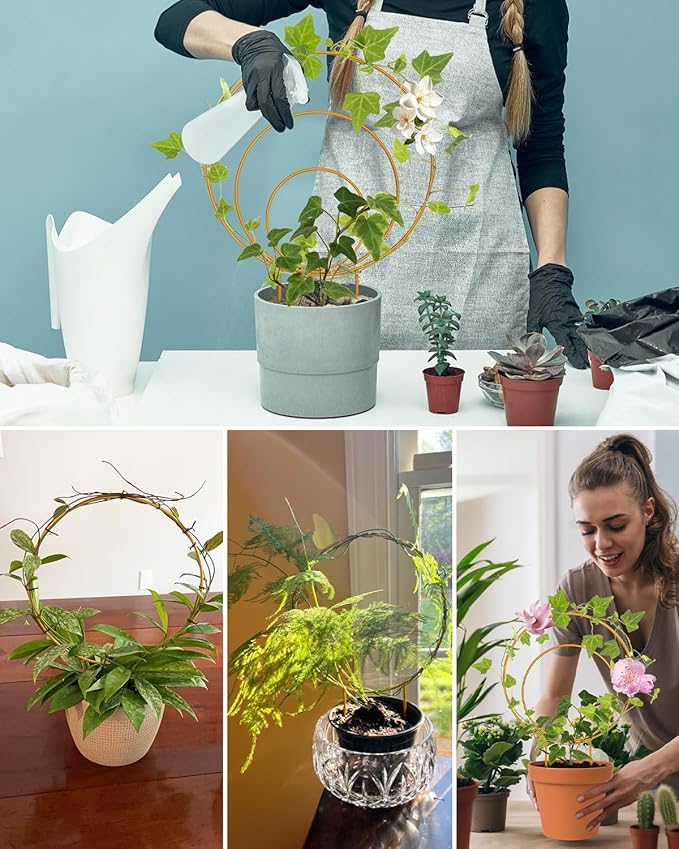 Unique Round Hoya Trellis, 3 Pcs Different Small Houseplant Trellis for Indoor Climbing Plant, Garden Trellis Plant Support for Potted Ivy and Flowers Outdoor(Gold)