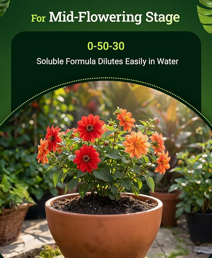 FoxFarm Beastie Bloomz Water Soluble Fertilizer for Mid-Flowering Stage, High Phosphorus Fertilizer 0-50-30, Supports Blossom Development, Easily Dilutes in Water, Ideal for Hydroponics & Soil, 1 lb