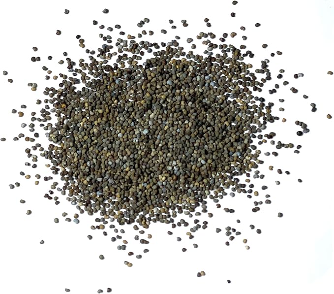 Seed Needs Mixed Peony Poppy Seeds for Planting - Heirloom & Open Pollinated - Colorful Mixture to Plant an Outdoor Butterfly Garden, Attracts Pollinators (5 Packs)