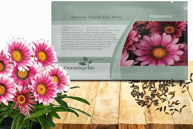 Outsidepride Kiss Rose Gazania Seeds for Planting – 50 Pcs Perennial, Low-Maintenance, Drought-Tolerant Ground Cover Seeds for Vibrant Summer & Fall Flowers, Great for Outdoor Gardens