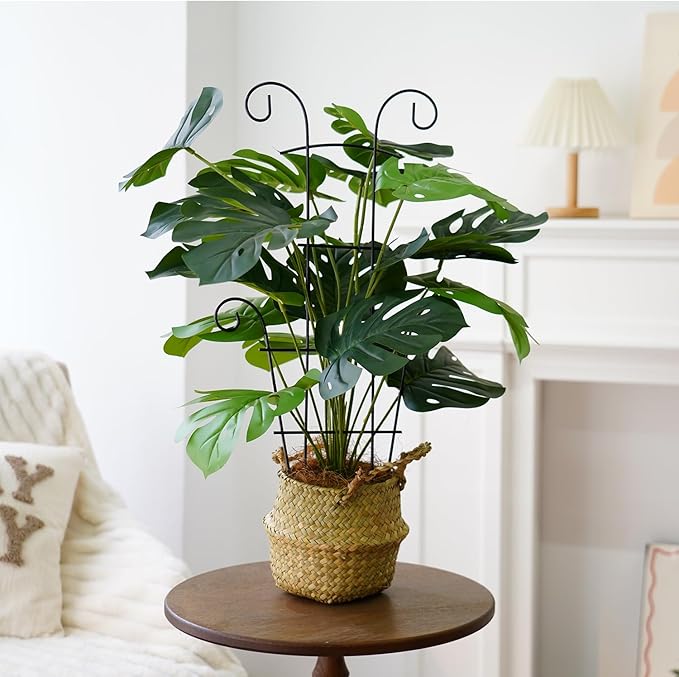 24 Inch Plant Trellis for Potted Plants Outdoor，Larger 2P Metal Garden Trellis for Climbing Plants Indoor Outdoor，Fan Shape Houseplant Monstera Trellis for Hoya Pothos Vine
