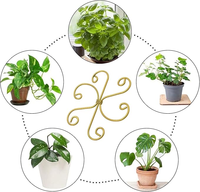 Iron Plant Stem Support Suitable for Plant Stems Turtleback Bamboo Clips, Indoor Growing Climbing Plants Supports, 5 PCS