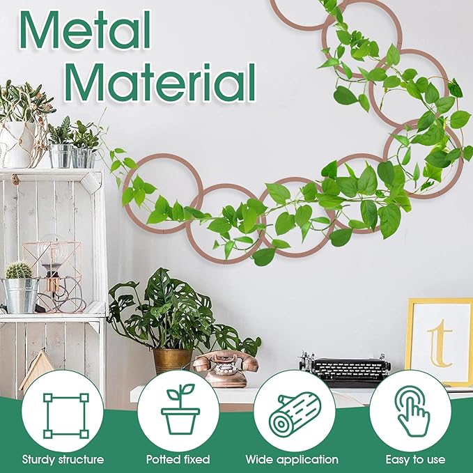 20pcs Round Chain Trellis for Climbing Plants Indoor, with 8pcs Self-Adhesive Hooks, HSSZXFR DIY Plant Climber Support for Vines and Garden Wall Trellis, for Monstera Pothos Ivy Flower